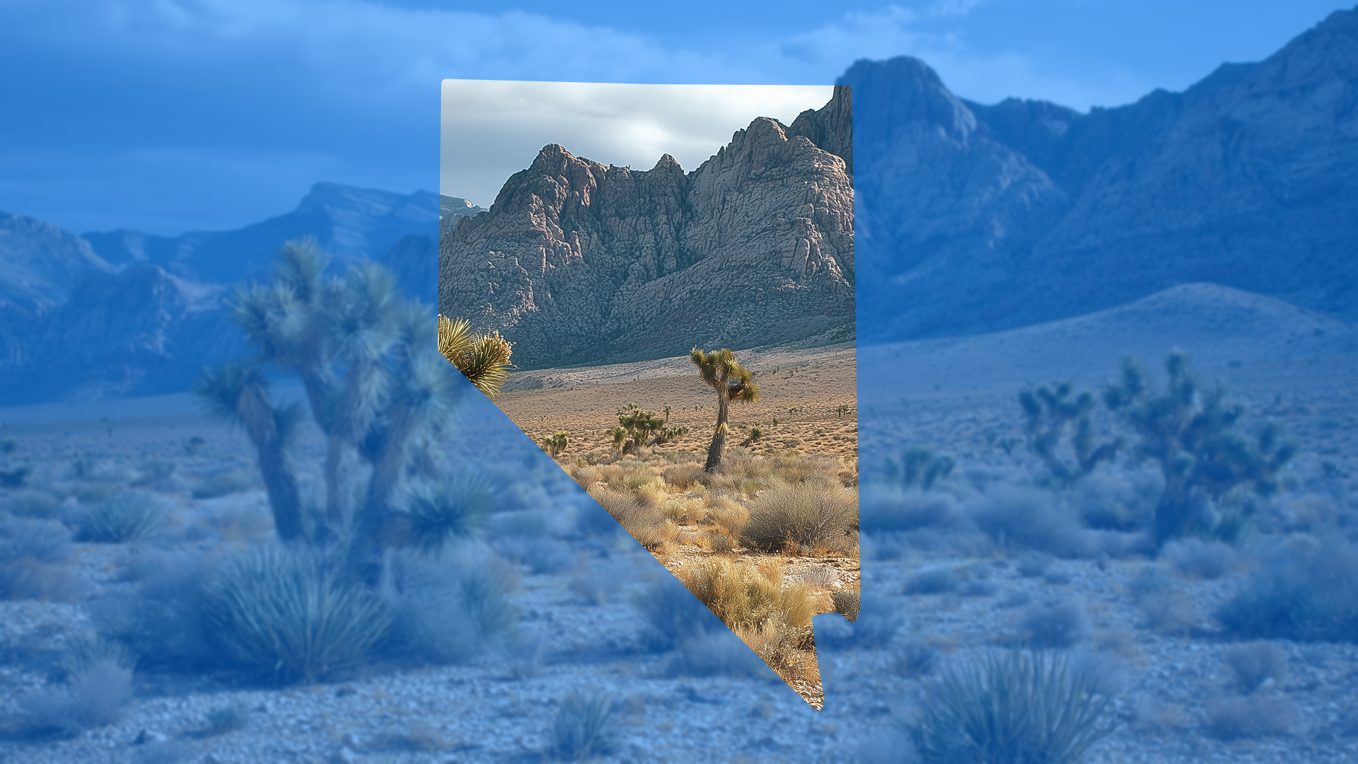 Flash-Flood Reality in Nevada and How Builders Stay Ahead