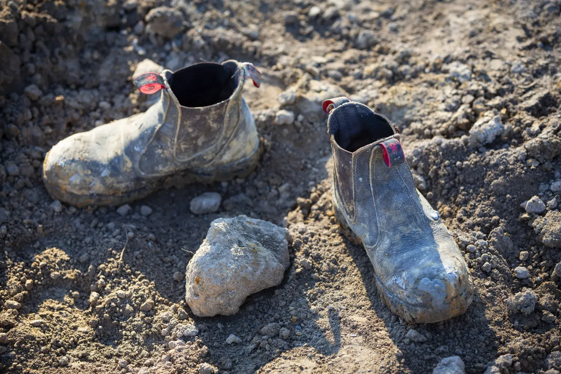 Multiply Your Workforce with Time-Saving Technology